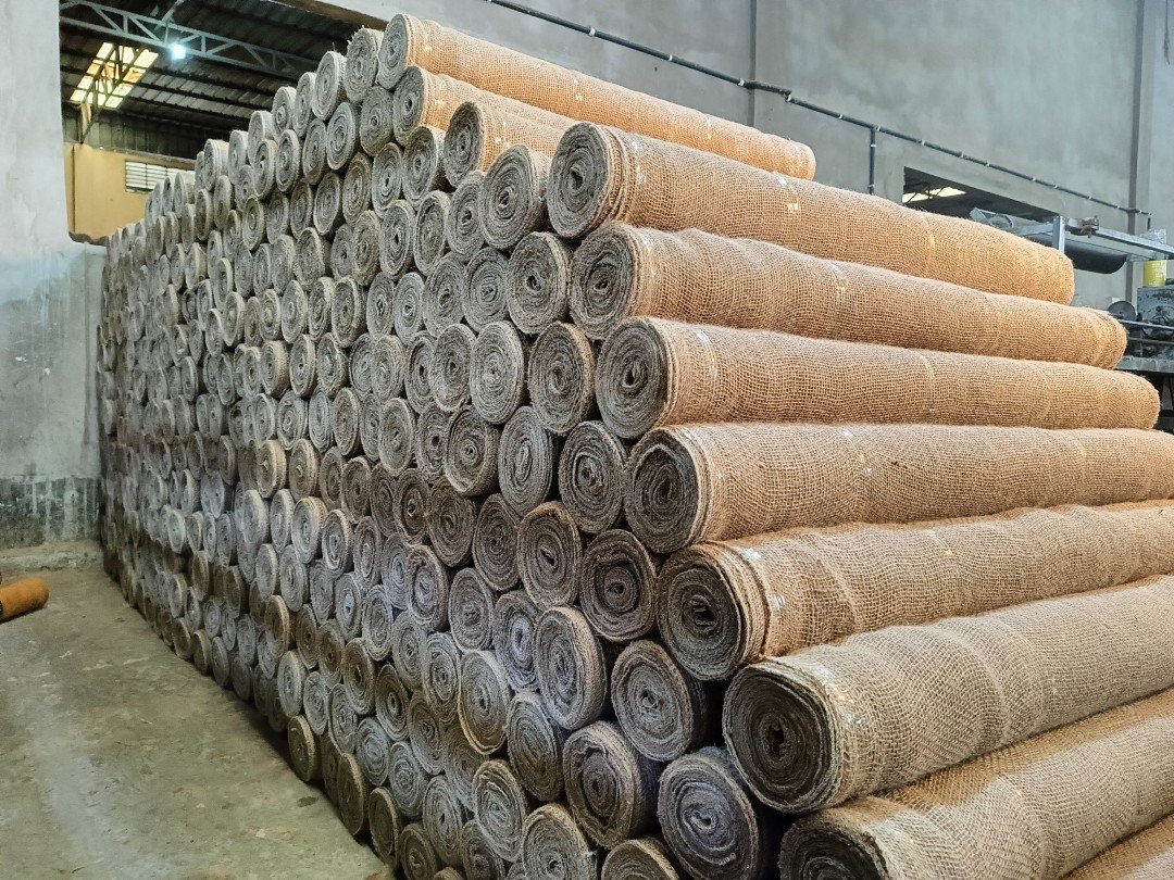 IMG20250131153421 (Custom)